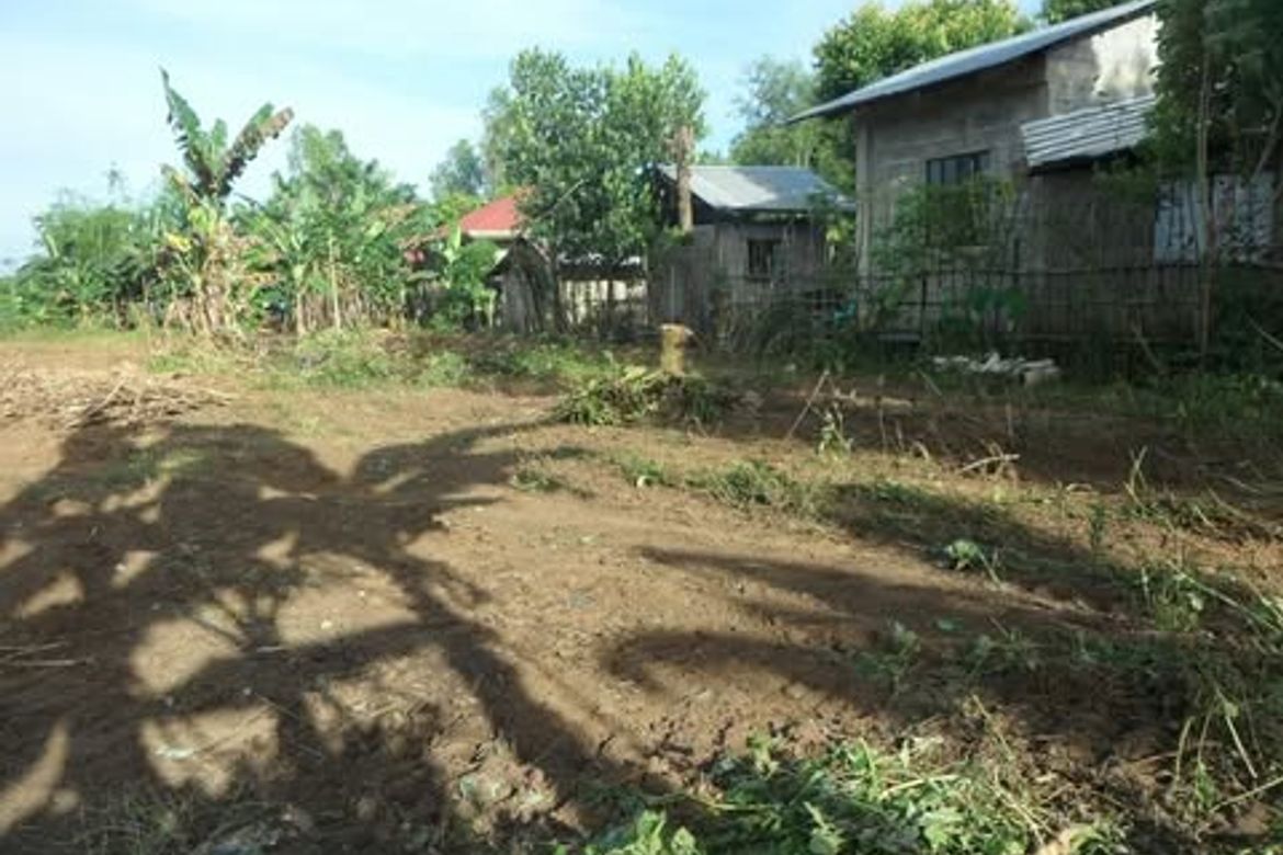 Land for Sale in Laoag, Aguilar, Pangasinan – photo 4