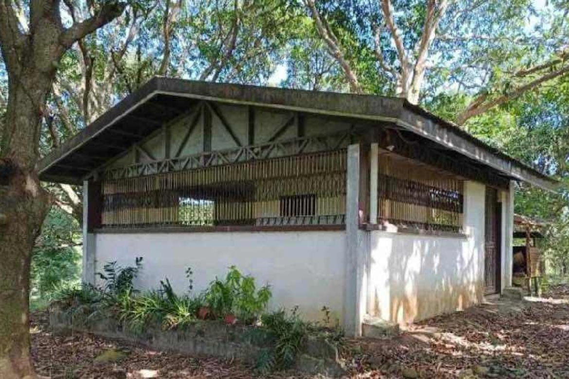 Land for Sale in LaPaz, Arayat, Pampanga – photo 2