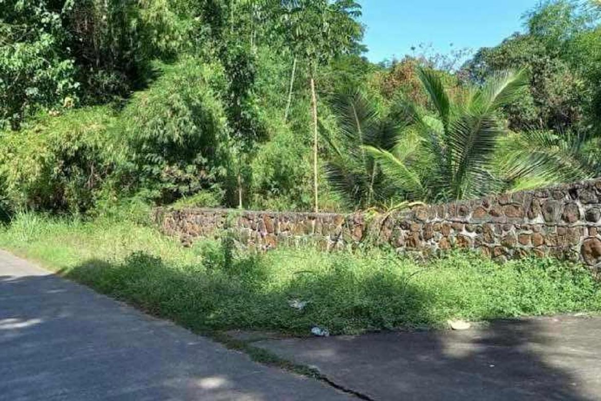 Land for Sale in LaPaz, Arayat, Pampanga – photo 5