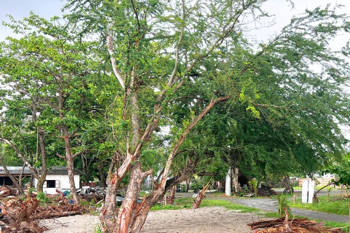 Land for Sale in LaPaz, San Narciso, Zambales
