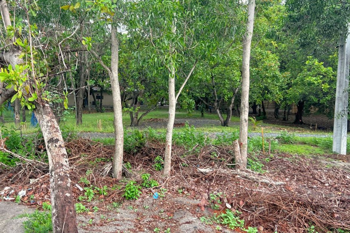 Land for Sale in LaPaz, San Narciso, Zambales – photo 4
