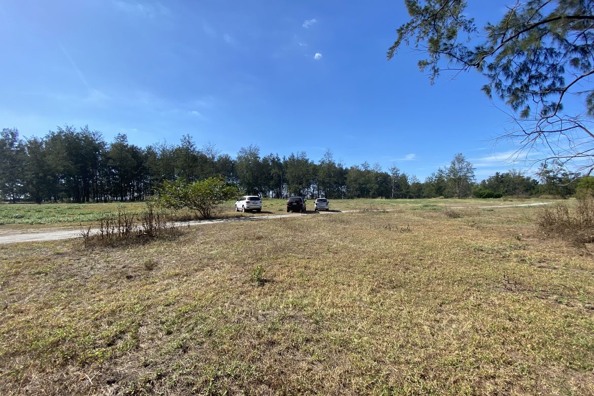 Land for Sale in LaPaz, San Narciso, Zambales – photo 8