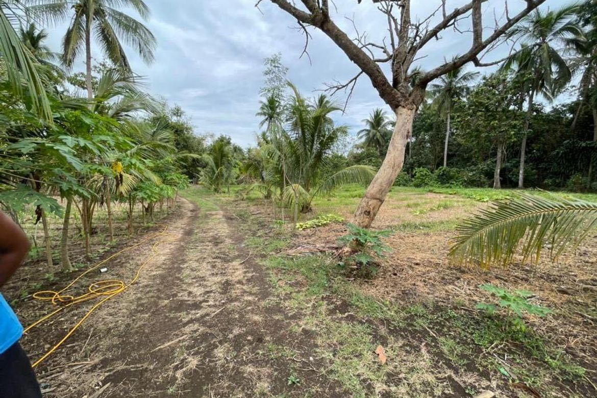 Land for Sale in Lapu-Lapu, Ibaan, Batangas – photo 8