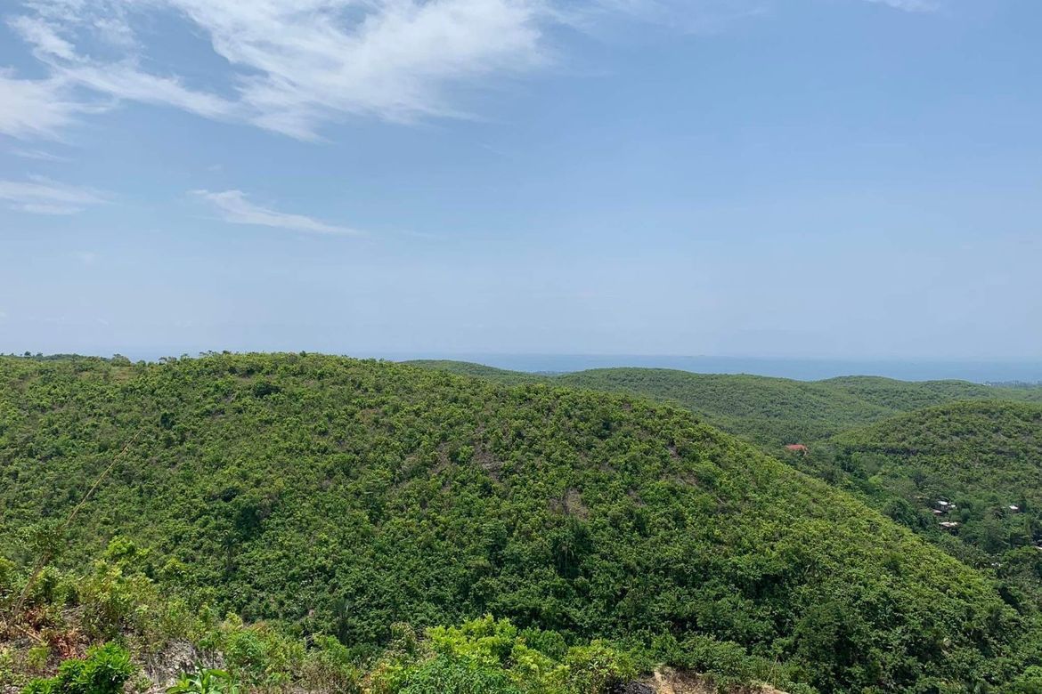 Land for Sale in Lataban, Liloan, Cebu – photo 7