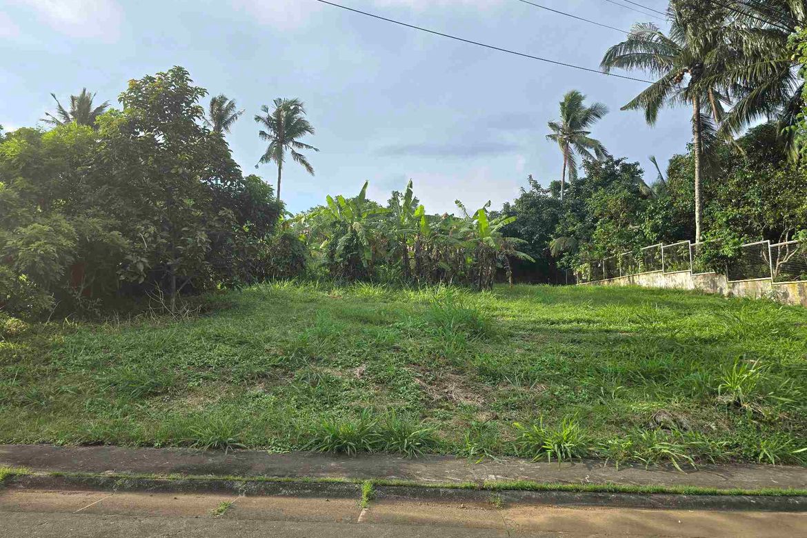 Land for Sale in Latag, Lipa, Batangas