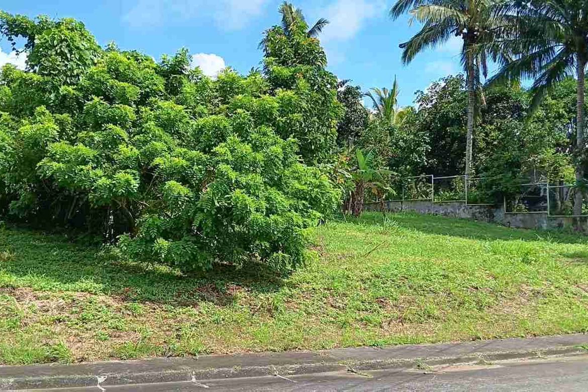 Land for Sale in Latag, Lipa, Batangas – photo 4