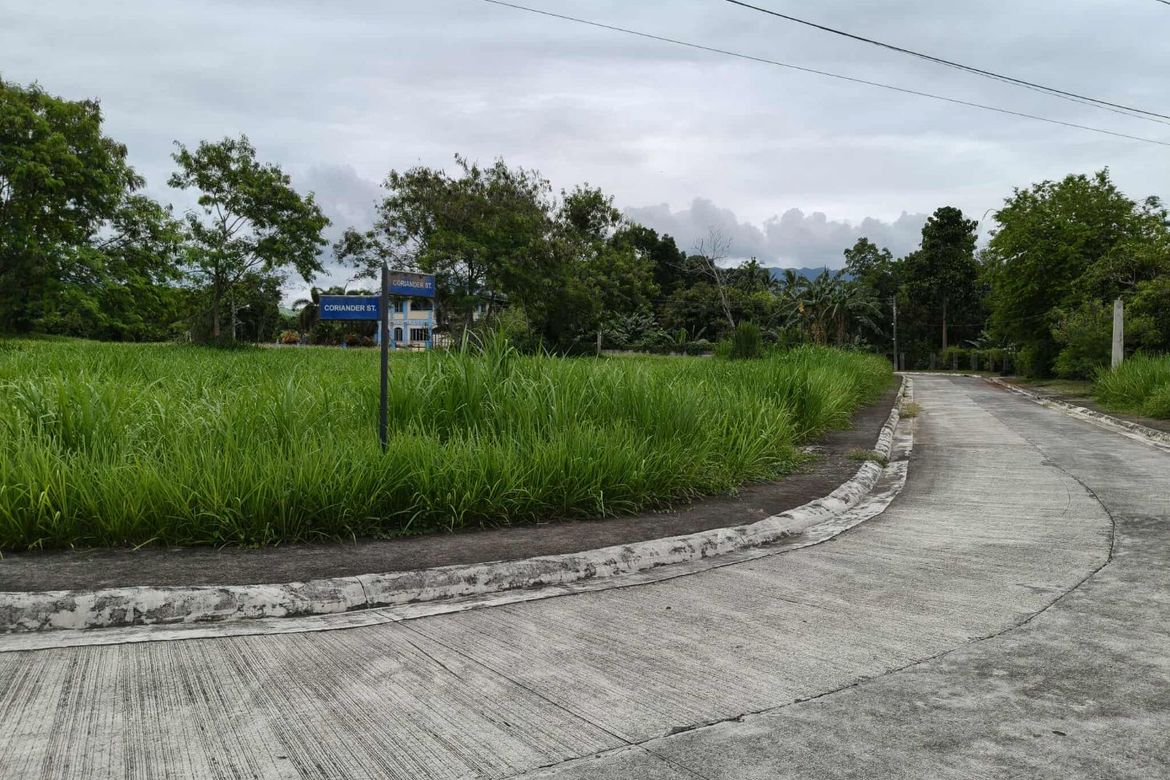 Land for Sale in Latag, Lipa, Batangas
