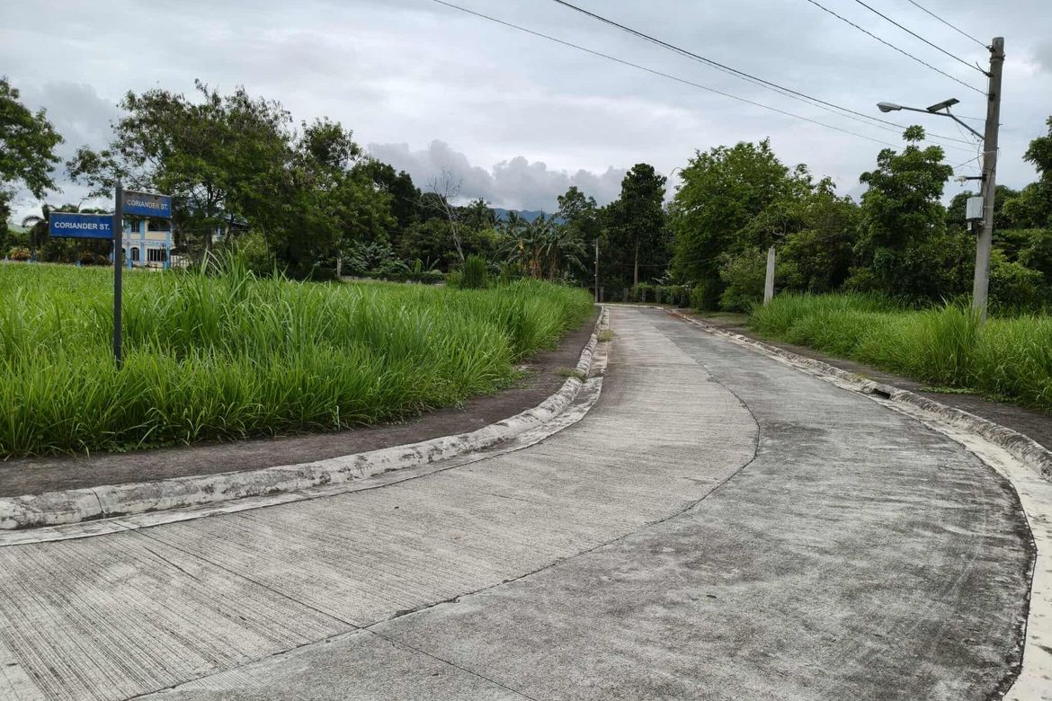 Land for Sale in Latag, Lipa, Batangas – photo 4