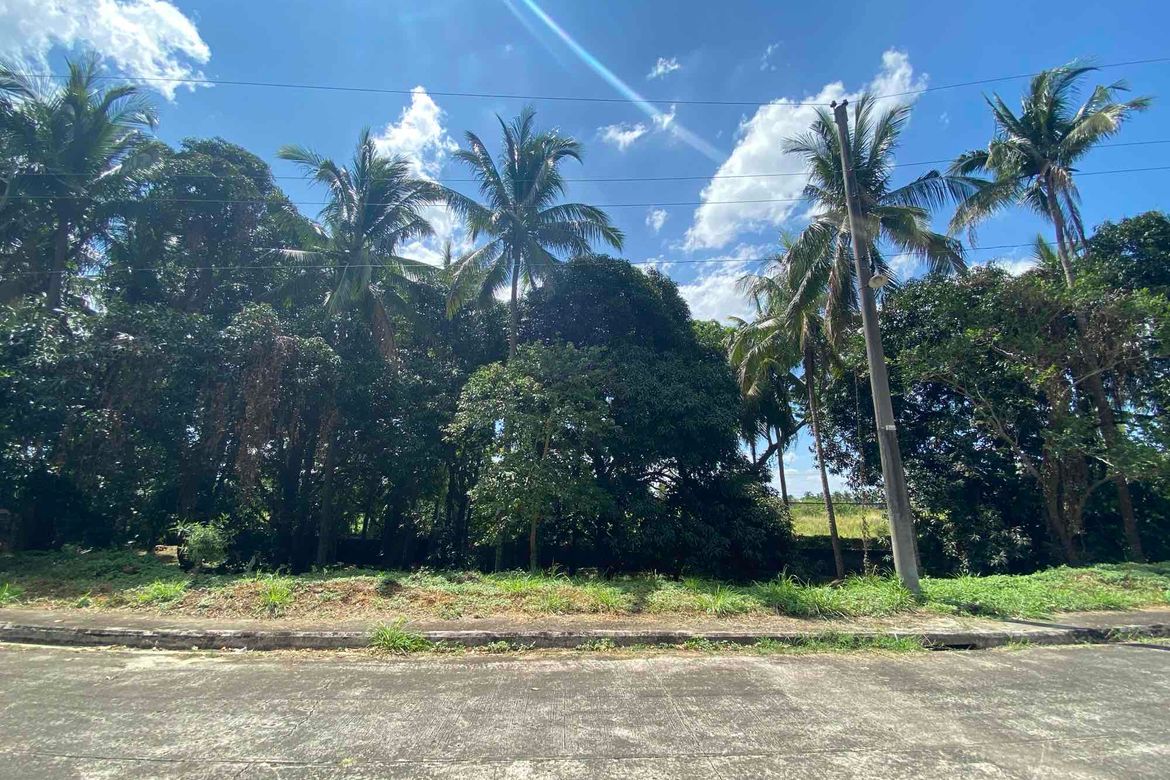 Land for Sale in Latag, Lipa, Batangas