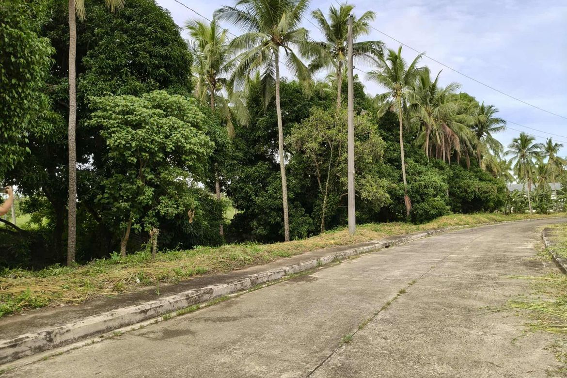 Land for Sale in Latag, Lipa, Batangas – photo 3