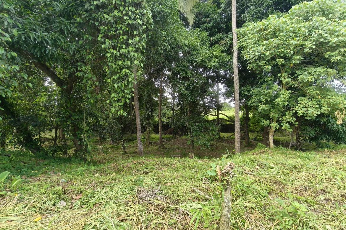 Land for Sale in Latag, Lipa, Batangas – photo 6