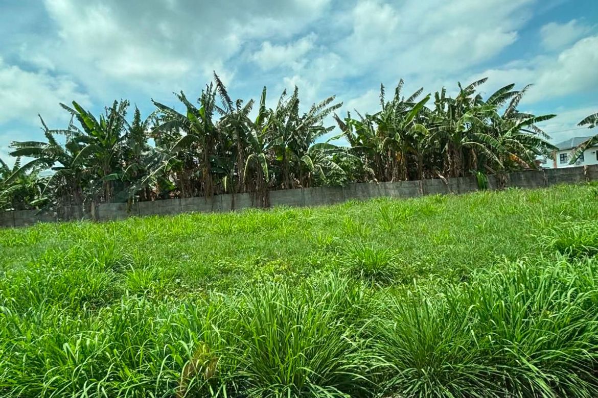 Land for Sale in Latag, Lipa, Batangas – photo 2