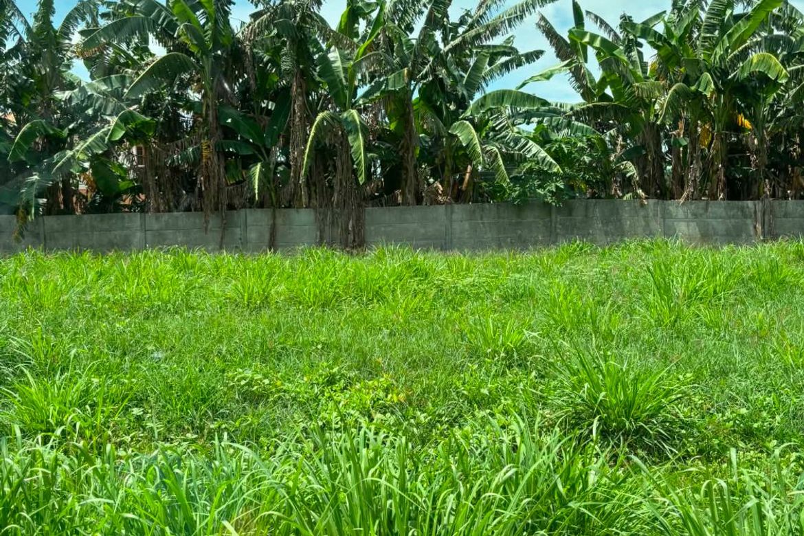 Land for Sale in Latag, Lipa, Batangas – photo 3