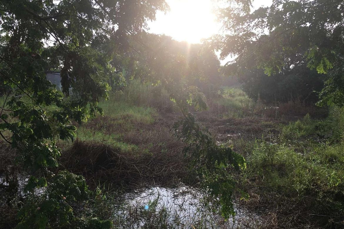 Land for Sale in Laug, Mexico, Pampanga – photo 8