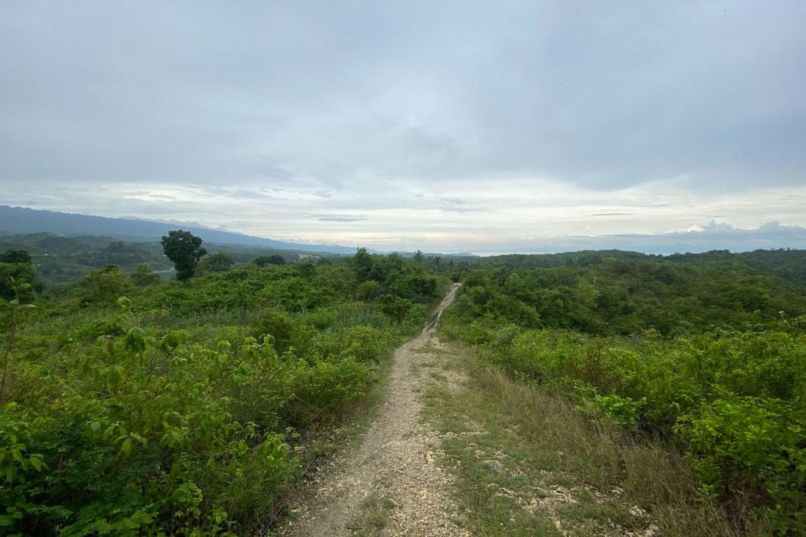 Land for Sale in Lawaan, Alcantara, Cebu