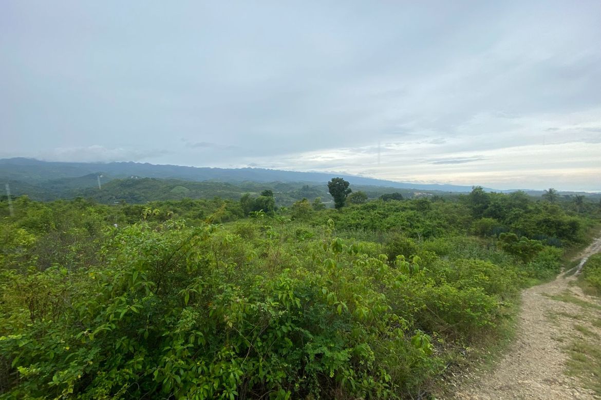 Land for Sale in Lawaan, Alcantara, Cebu – photo 3