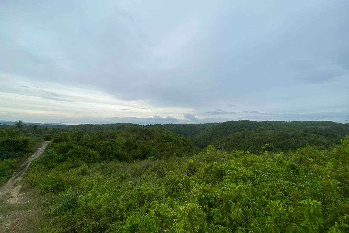 Land for Sale in Lawaan, Alcantara, Cebu – photo 4