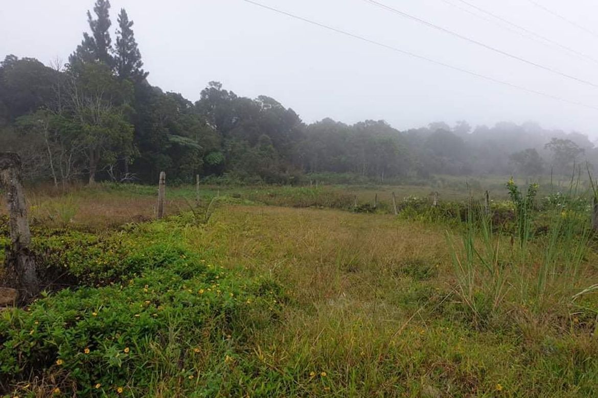 Land for Sale in Lawaan, Gingoog, Misamis Oriental – photo 2