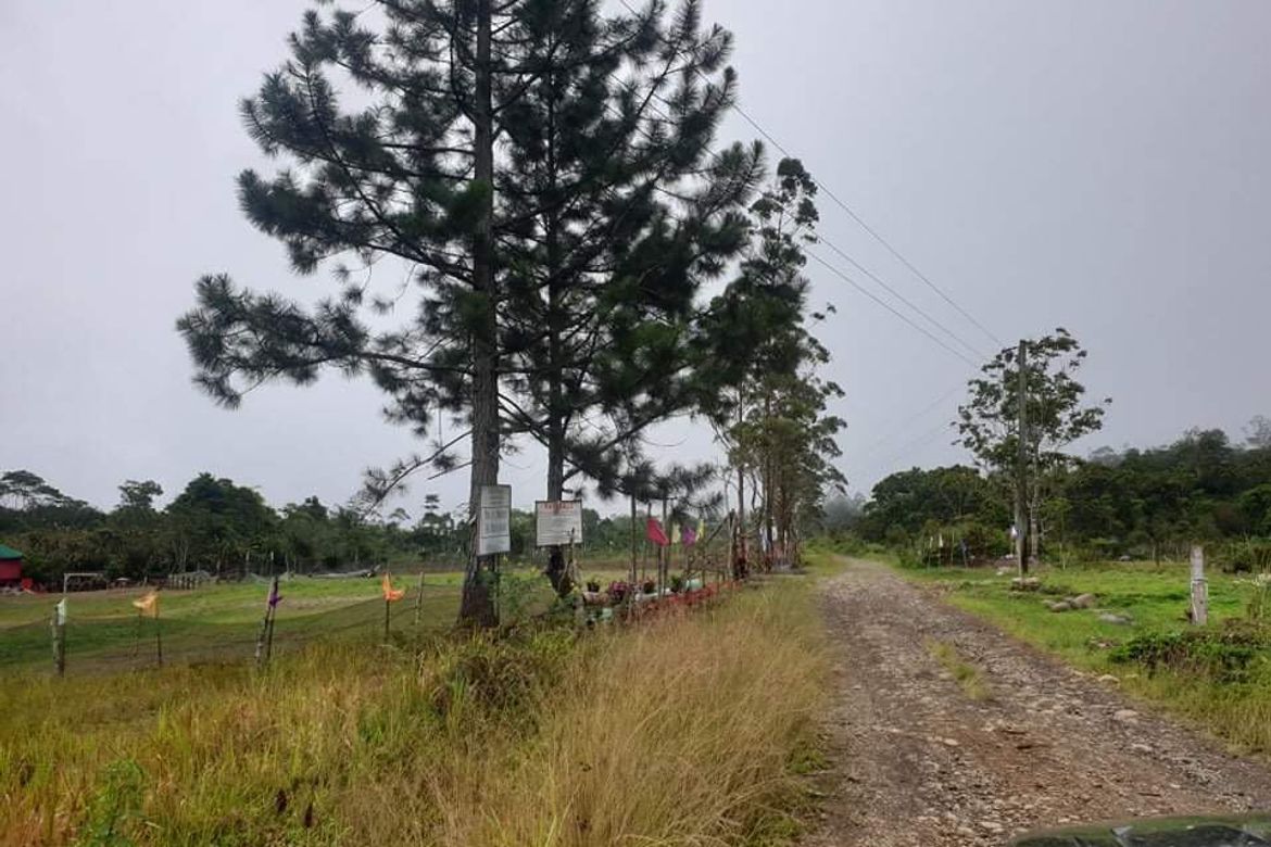 Land for Sale in Lawaan, Gingoog, Misamis Oriental – photo 3