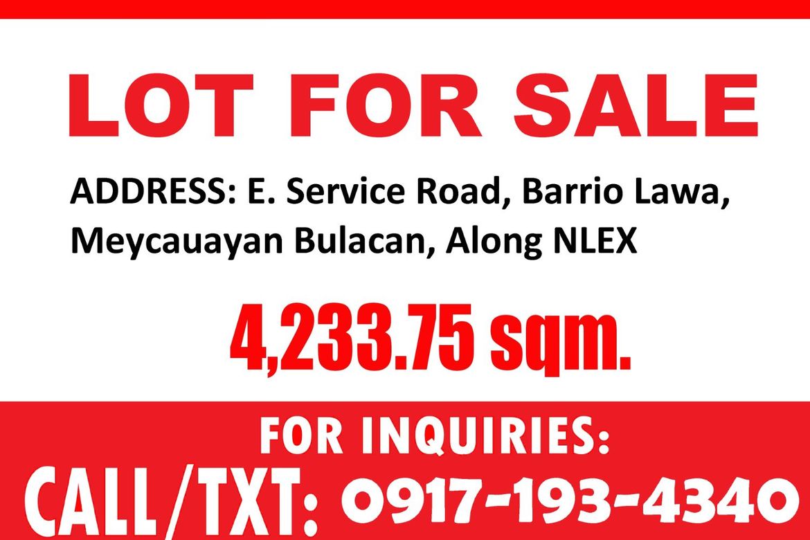 Land for Sale in Lawang Bato, Valenzuela, Metro Manila – photo 6