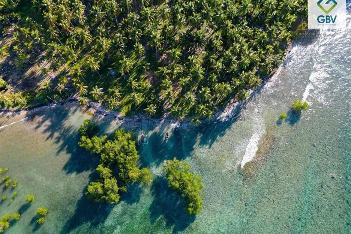 Land for Sale in Lawigan, Mati, Davao Oriental