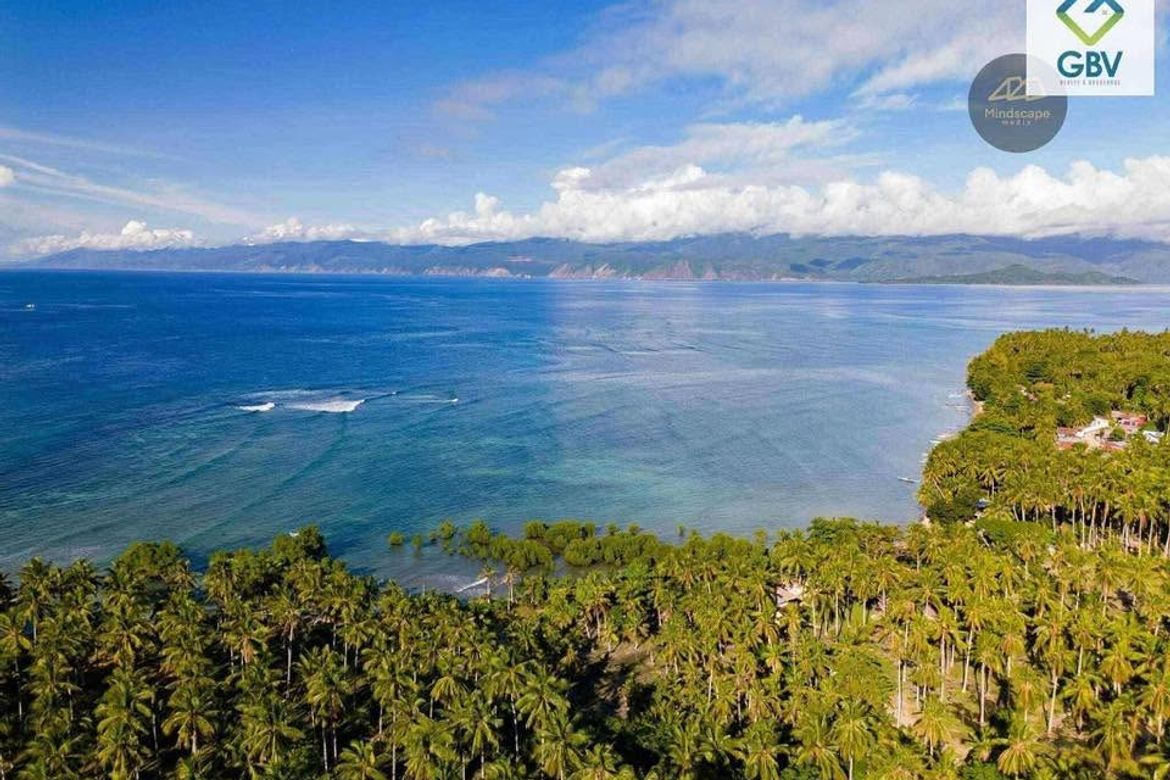 Land for Sale in Lawigan, Mati, Davao Oriental – photo 2
