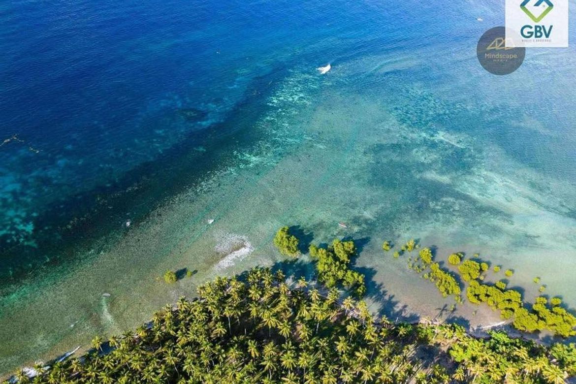 Land for Sale in Lawigan, Mati, Davao Oriental – photo 4