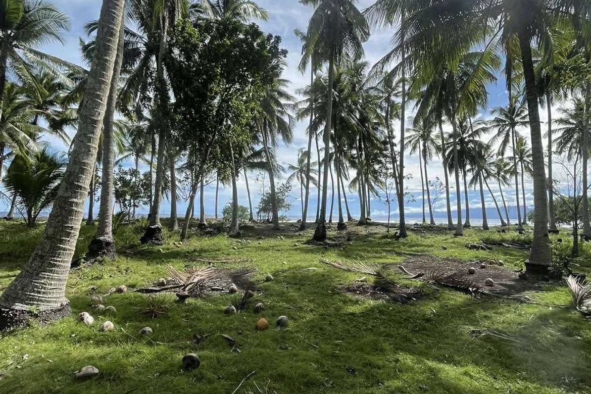 Land for Sale in Lawigan, Mati, Davao Oriental