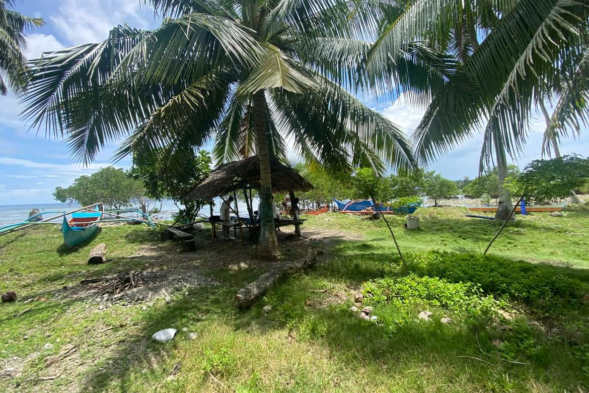 Land for Sale in Lawigan, Mati, Davao Oriental – photo 2