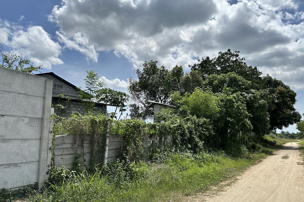 Land for Sale in Lawy, Capas, Tarlac – photo 4