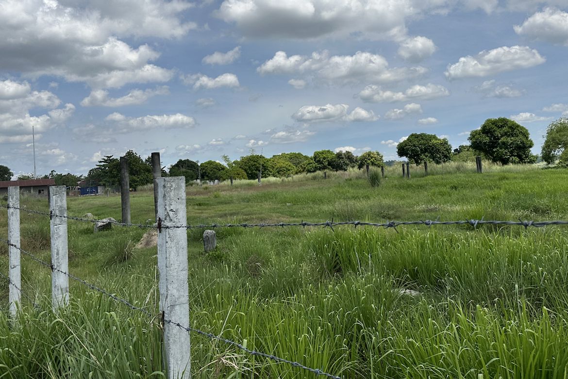 Land for Sale in Lawy, Capas, Tarlac – photo 6