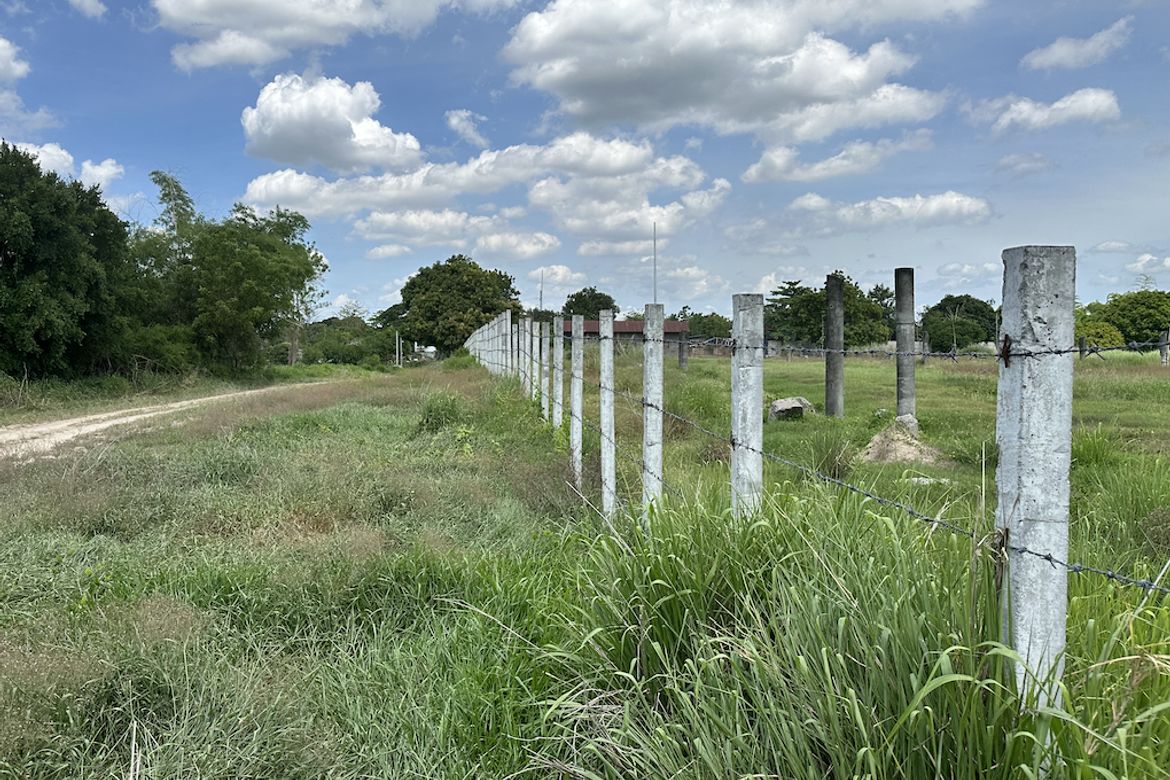 Land for Sale in Lawy, Capas, Tarlac – photo 7