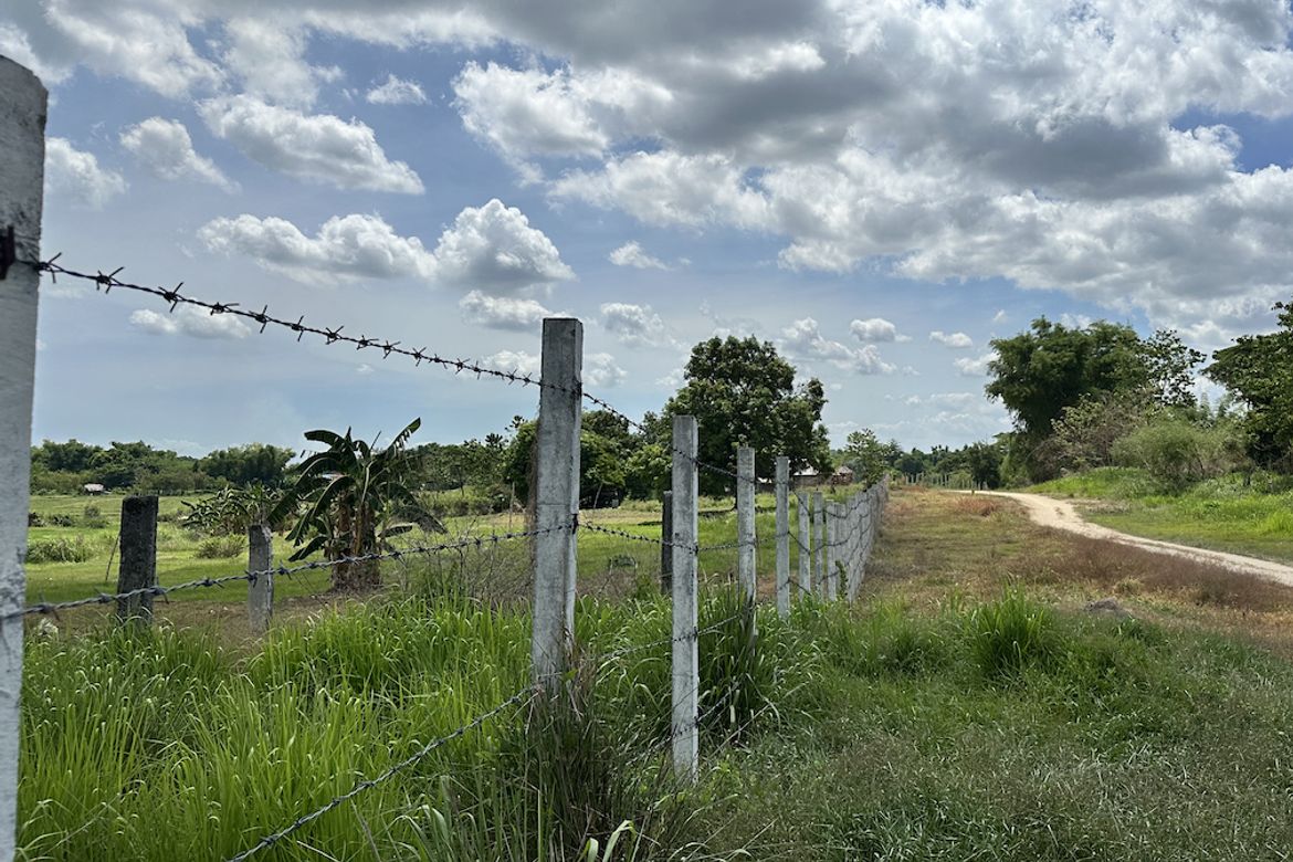 Land for Sale in Lawy, Capas, Tarlac – photo 8