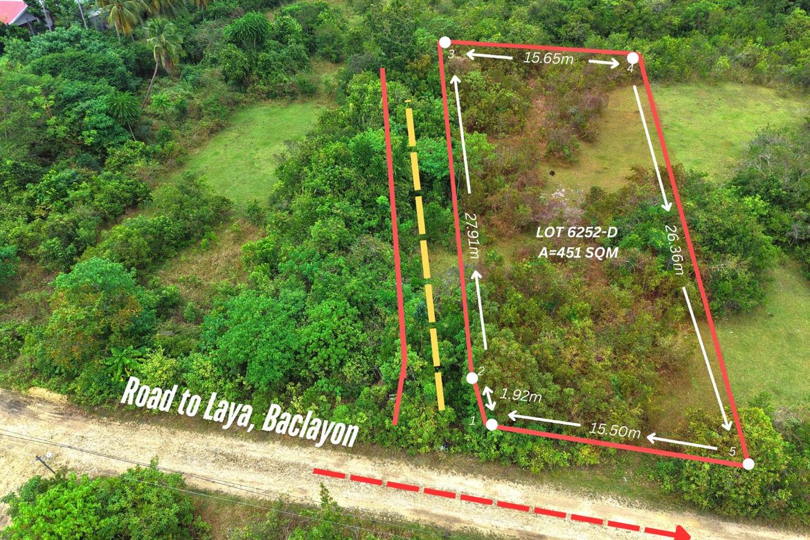 Land for Sale in Laya, Baclayon, Bohol – photo 4