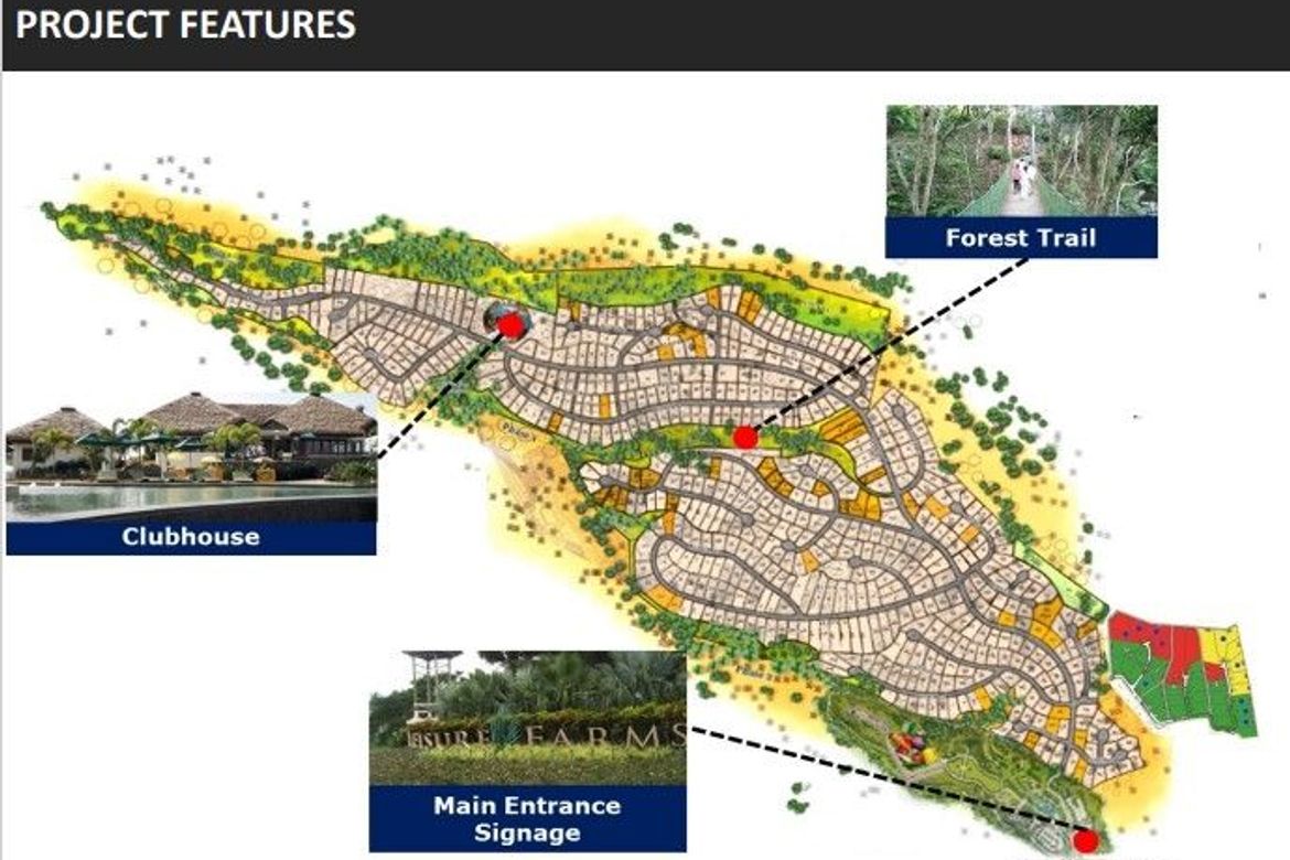 Land for Sale in Leisure Farms, Maguihan, Lemery, Batangas – photo 3