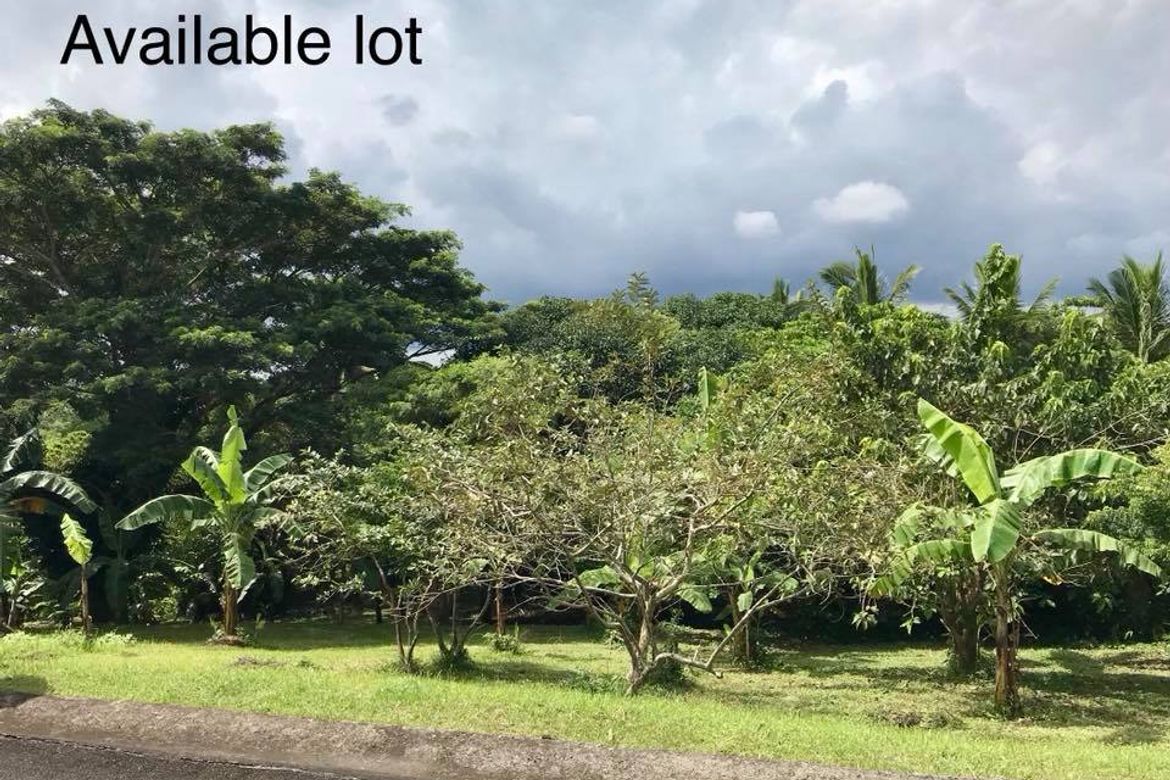 Land for Sale in Leisure Farms, Maguihan, Lemery, Batangas – photo 5