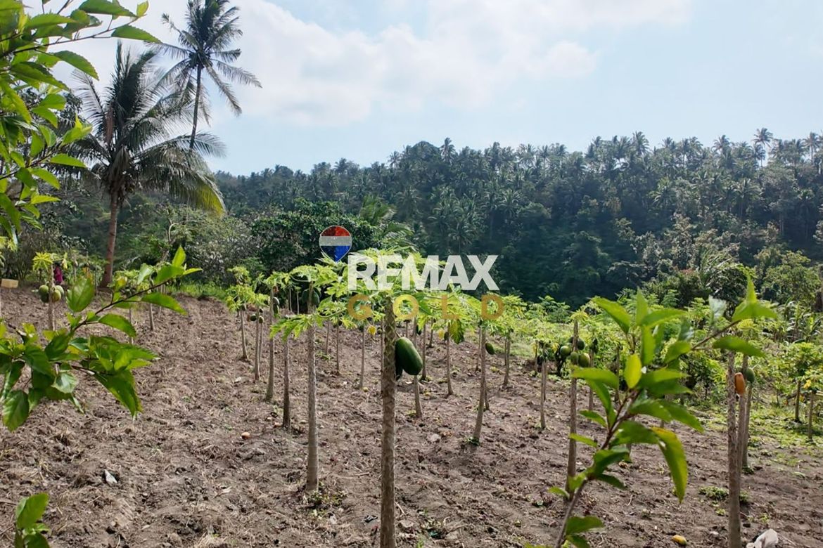 Land for Sale in Lemery, Batangas – photo 5