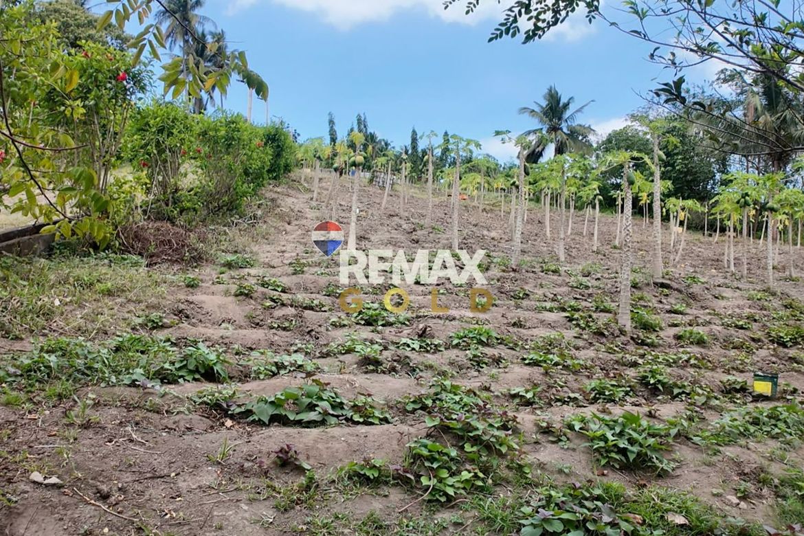 Land for Sale in Lemery, Batangas – photo 8