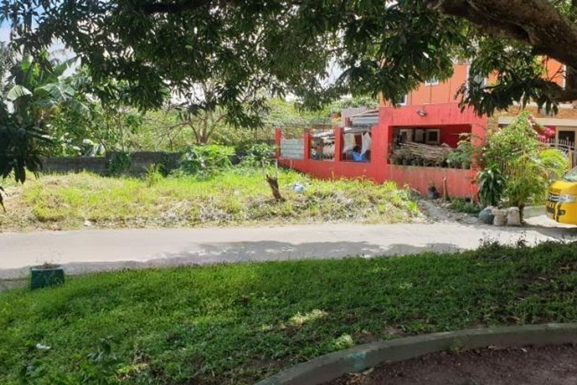 Land for Sale in Lewin, Lumban, Laguna