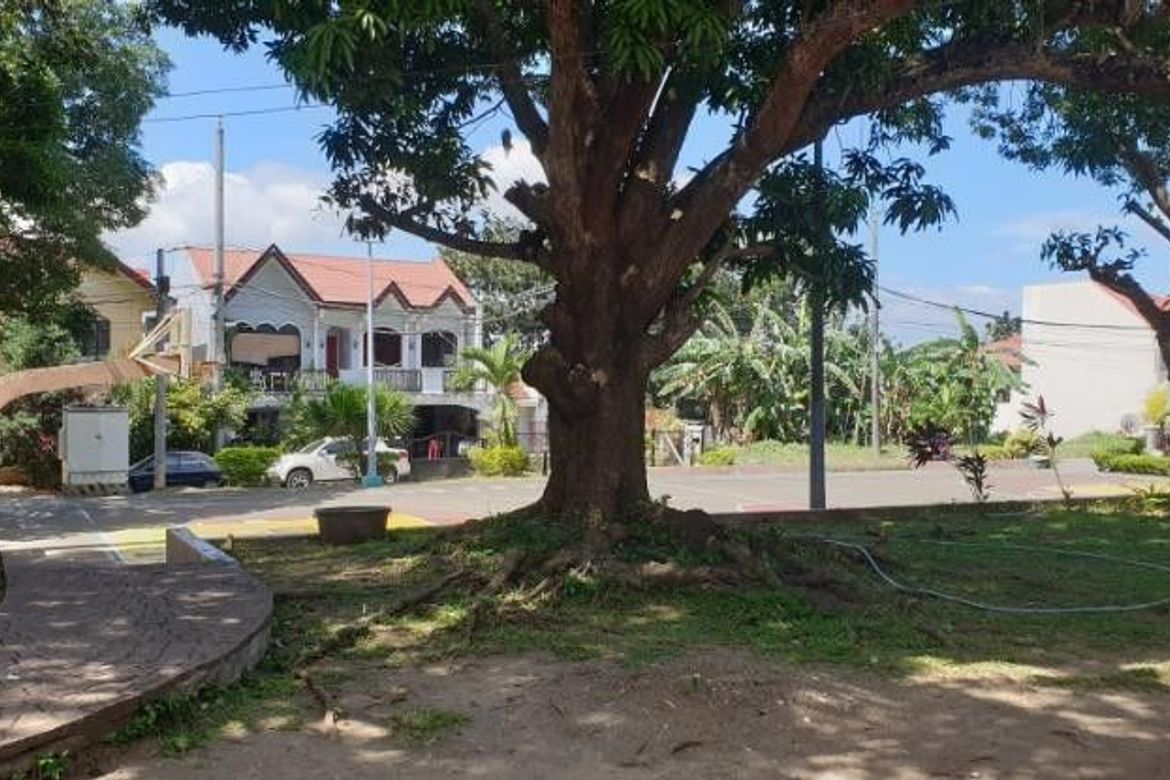 Land for Sale in Lewin, Lumban, Laguna – photo 2