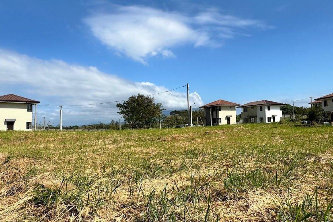 Land for Sale in Lewin, Lumban, Laguna – photo 2