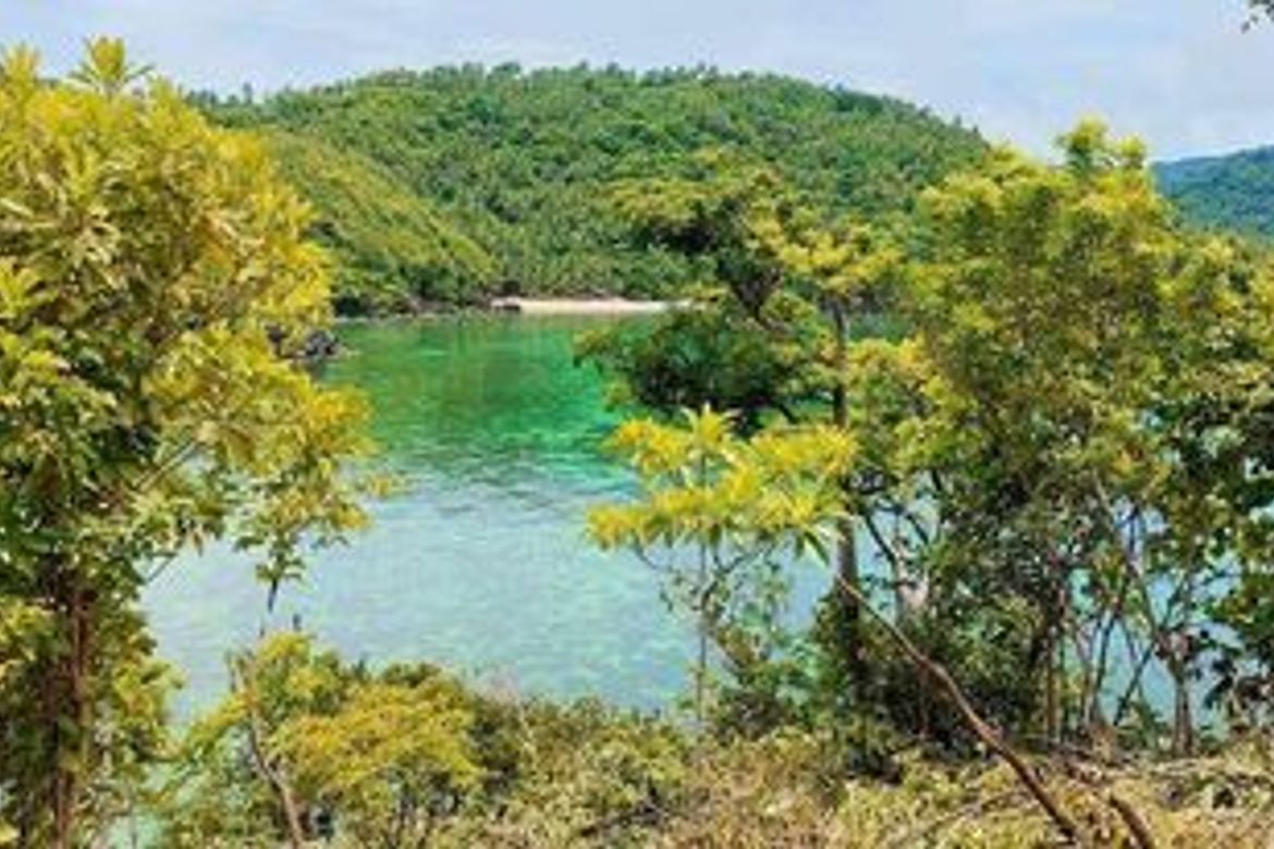 Land for Sale in Li-O, Romblon, Romblon – photo 5