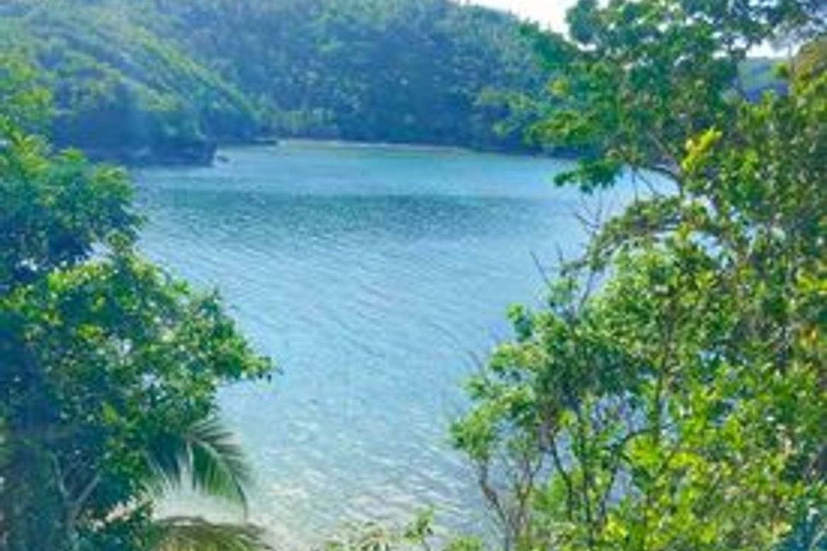 Land for Sale in Li-O, Romblon, Romblon – photo 6