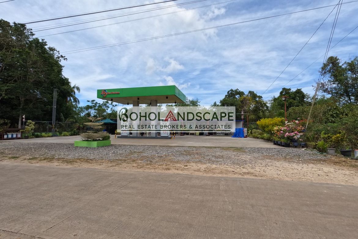Land for Sale in Libaong, Panglao, Bohol – photo 2