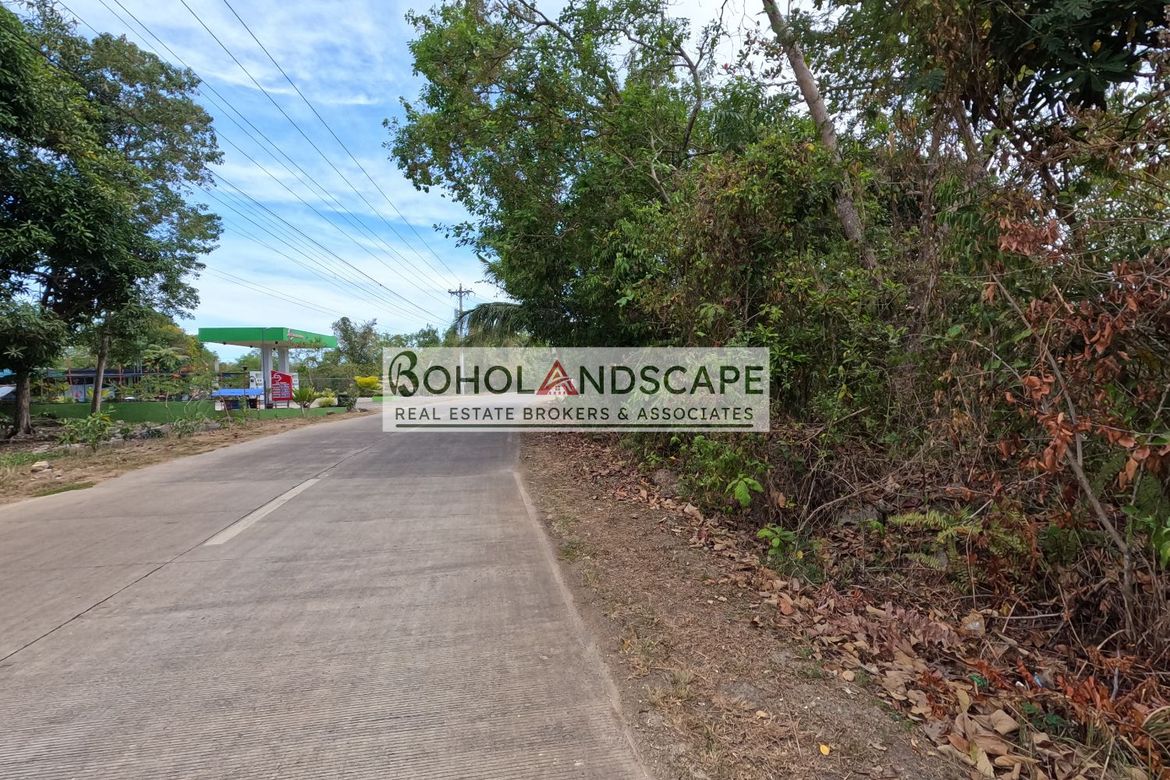 Land for Sale in Libaong, Panglao, Bohol – photo 3
