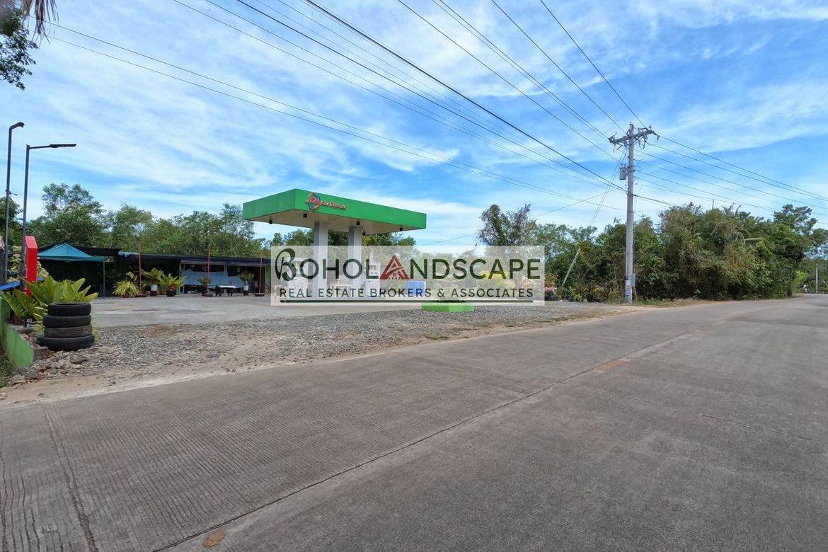 Land for Sale in Libaong, Panglao, Bohol – photo 5