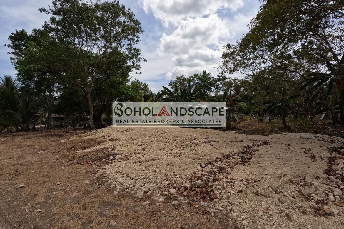Land for Sale in Libaong, Panglao, Bohol – photo 6