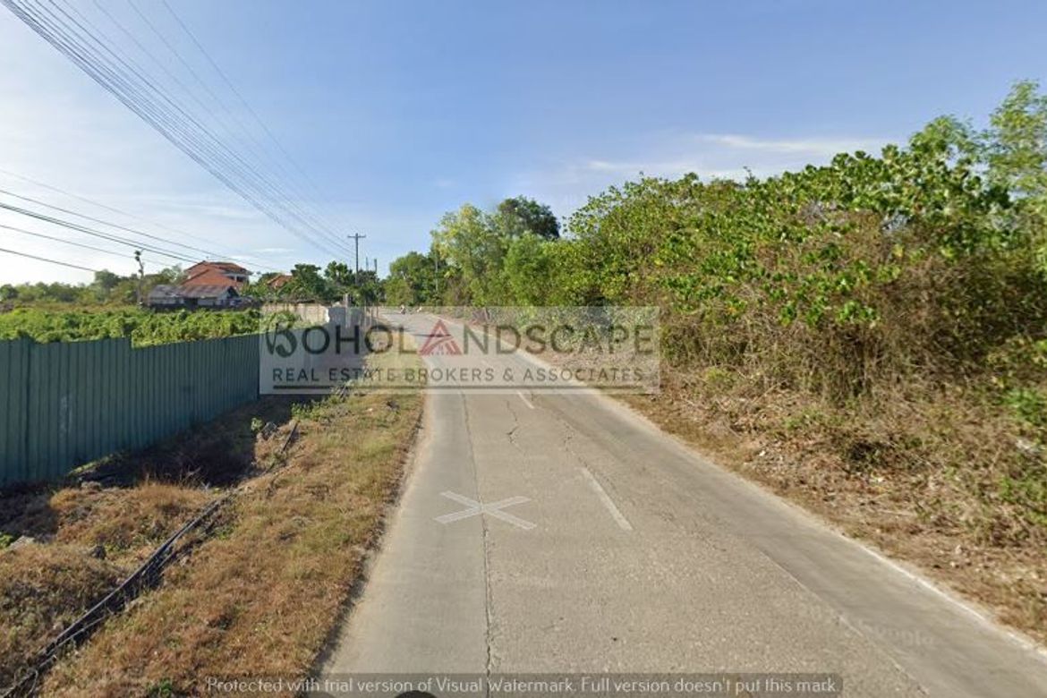 Land for Sale in Libaong, Panglao, Bohol