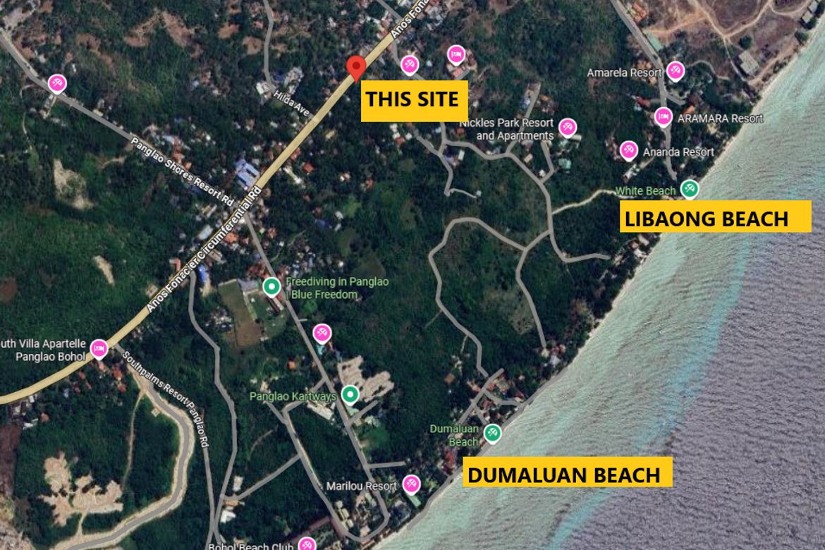 Land for Sale in Libaong, Panglao, Bohol – photo 4
