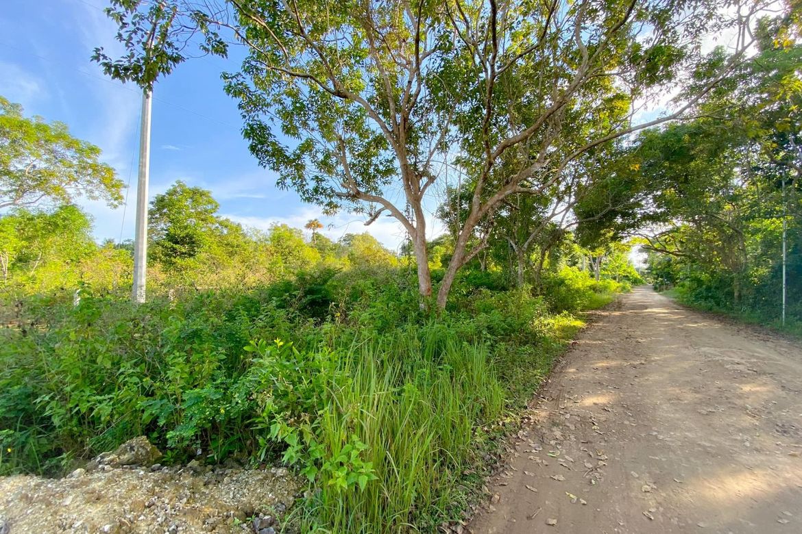 Land for Sale in Libaong, Panglao, Bohol – photo 2